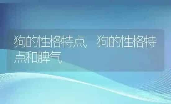 狗的性格特点,狗的性格特点和脾气 | 养殖科普