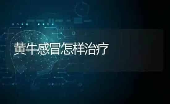 黄牛感冒怎样治疗 | 养殖知识