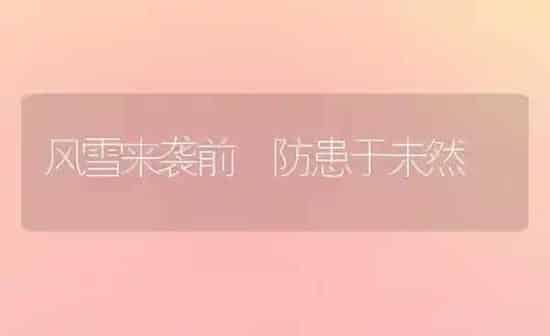 风雪来袭前 防患于未然 | 养殖知识