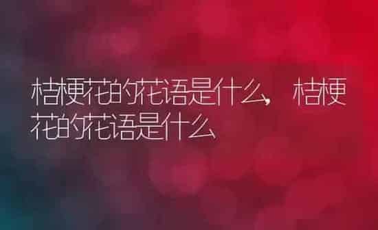 狗狗能吃香蕉吗,狗狗能吃香蕉吗 泰迪 | 养殖科普