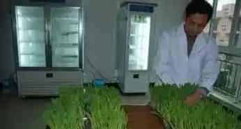 富宁县种子检验工作中存在的问题及对策 | 生活妙招