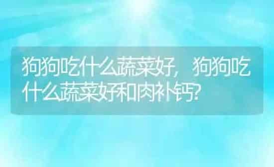 狗狗吃什么蔬菜好,狗狗吃什么蔬菜好和肉补钙? | 养殖科普