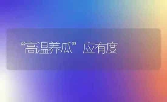 “高温养瓜”应有度 | 养殖知识