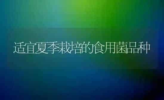 适宜夏季栽培的食用菌品种 | 养殖知识