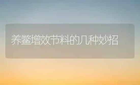 养鳖增效节料的几种妙招 | 养殖知识