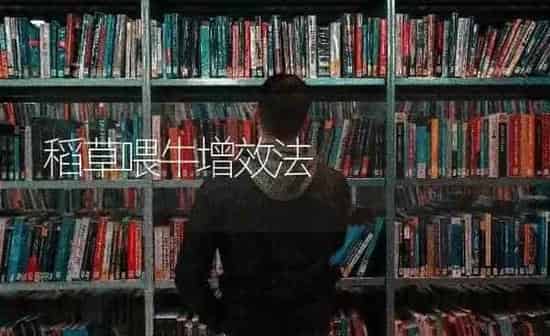 稻草喂牛增效法 | 养殖知识