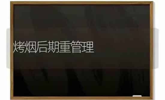 烤烟后期重管理 | 养殖知识