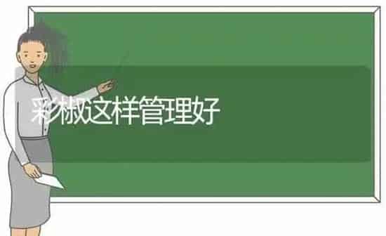 彩椒这样管理好 | 养殖知识