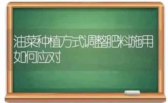 鹌鹑慢性呼吸道疾病的防治 | 养殖技术大全