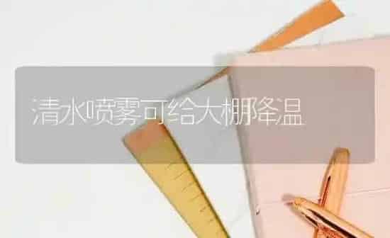 清水喷雾可给大棚降温 | 养殖知识