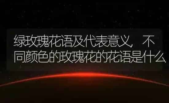 绿玫瑰花语及代表意义,不同颜色的玫瑰花的花语是什么 | 养殖学堂