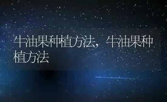 牛油果种植方法,牛油果种植方法 | 养殖科普