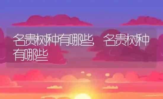 极小的小白点虫子,极小的小白点虫子怎么消灭 | 养殖科普