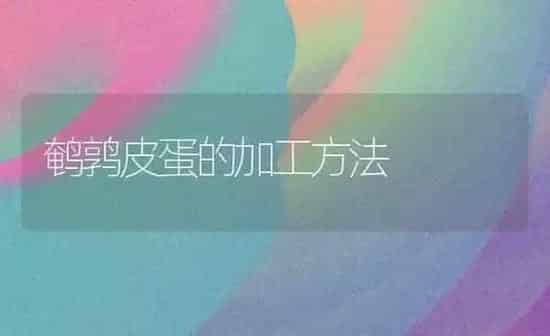 鹌鹑皮蛋的加工方法 | 养殖技术大全