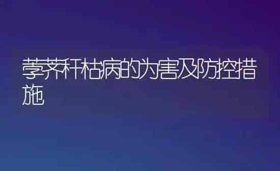 荸荠秆枯病的为害及防控措施 | 养殖知识