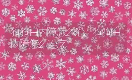 狗狗白内障怎么治,狗狗白内障怎么治疗 | 养殖科普