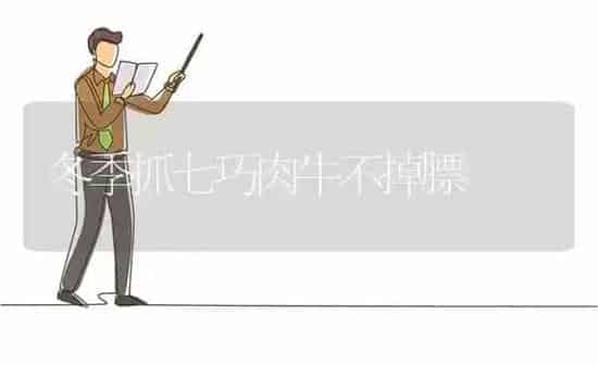 冬季抓七巧肉牛不掉膘 | 养殖知识