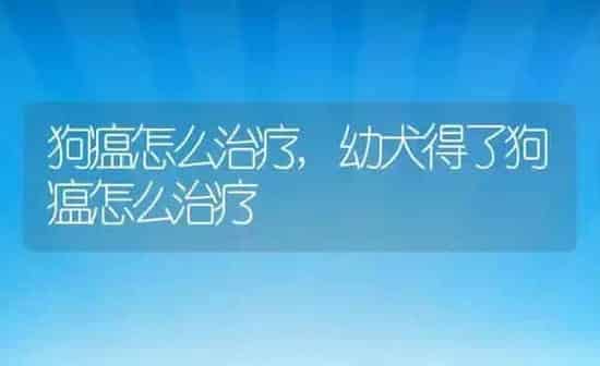 狗瘟怎么治疗,幼犬得了狗瘟怎么治疗 | 养殖科普