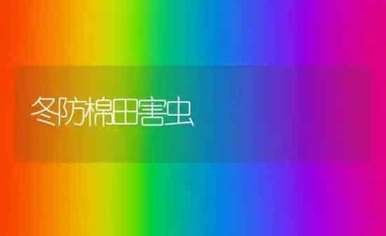 冬防棉田害虫 | 养殖知识
