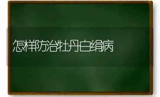 怎样防治牡丹白绢病 | 养殖知识