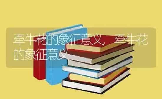 牵牛花的象征意义,牵牛花的象征意义 | 养殖科普