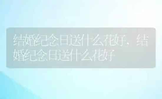 牛蜱虫用什么药才能治得了它,为什么家里有牛蜱虫？ | 养殖科普