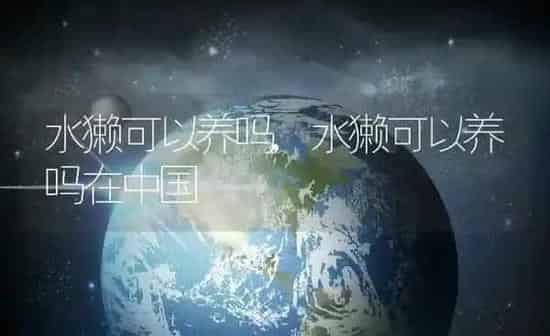 水獭可以养吗,水獭可以养吗在中国 | 养殖资料