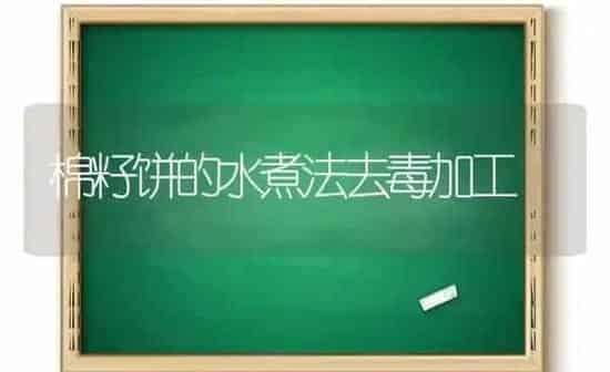 棉籽饼的水煮法去毒加工 | 养殖知识
