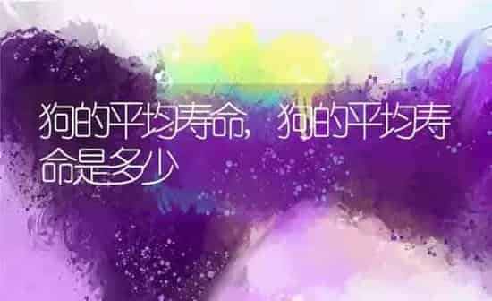 狗的平均寿命,狗的平均寿命是多少 | 养殖科普