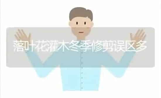 落叶花灌木冬季修剪误区多 | 养殖知识