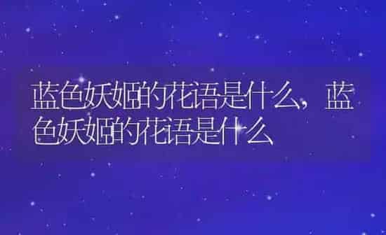 蓝色妖姬的花语是什么,蓝色妖姬的花语是什么 | 养殖科普