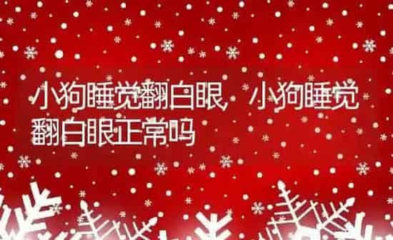 小狗睡觉翻白眼,小狗睡觉翻白眼正常吗 | 养殖科普
