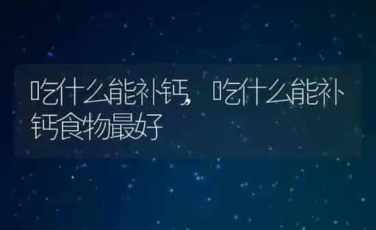 吃什么能补钙,吃什么能补钙食物最好 | 养殖资料