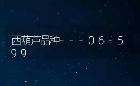 西葫芦品种---06-599 | 养殖知识