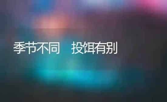 季节不同 投饵有别 | 养殖知识