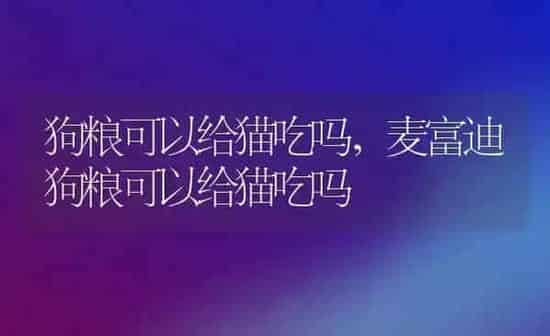 狗粮可以给猫吃吗,麦富迪狗粮可以给猫吃吗 | 养殖科普
