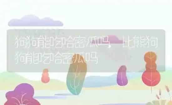 狗狗能吃哈密瓜吗,比熊狗狗能吃哈密瓜吗 | 养殖科普