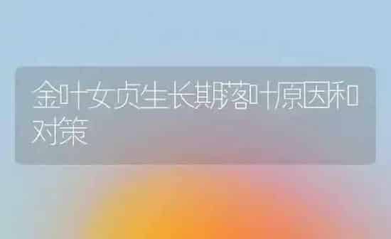 金叶女贞生长期落叶原因和对策 | 养殖知识