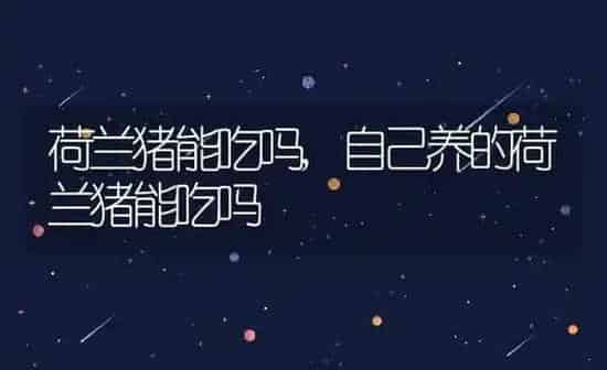 荷兰猪能吃吗,自己养的荷兰猪能吃吗 | 养殖资料