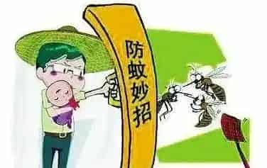 驱蚊、灭蚊小妙招 | 生活妙招