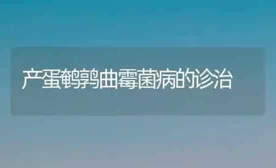 产蛋鹌鹑曲霉菌病的诊治 | 养殖技术大全