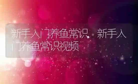 新手入门养鱼常识,新手入门养鱼常识视频 | 养殖科普