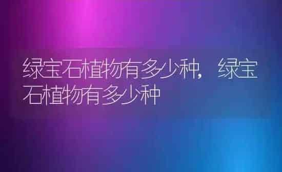 绿宝石植物有多少种,绿宝石植物有多少种 | 养殖科普