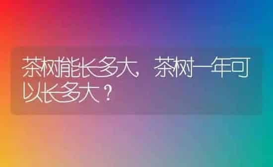 茶树能长多大,茶树一年可以长多大？ | 养殖科普
