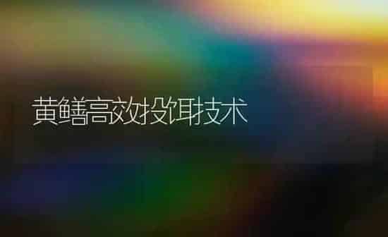黄鳝高效投饵技术 | 养殖知识