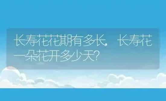 长寿花花期有多长,长寿花一朵花开多少天？ | 养殖学堂