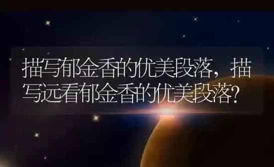 描写郁金香的优美段落,描写远看郁金香的优美段落？ | 养殖学堂