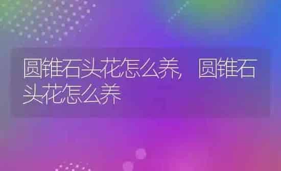 小葵花凤头鹦鹉 | 养殖科普