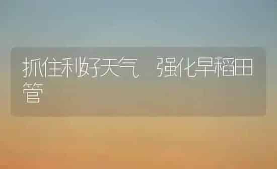 抓住利好天气 强化早稻田管 | 养殖知识