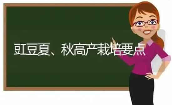豇豆夏、秋高产栽培要点 | 养殖技术大全